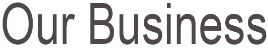 Our Business